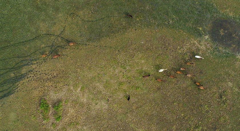 شهر ماسال در استان گیلان - توریستگاه