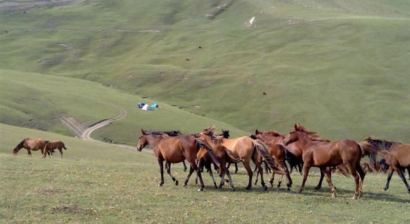 شهر ماسال در استان گیلان - توریستگاه