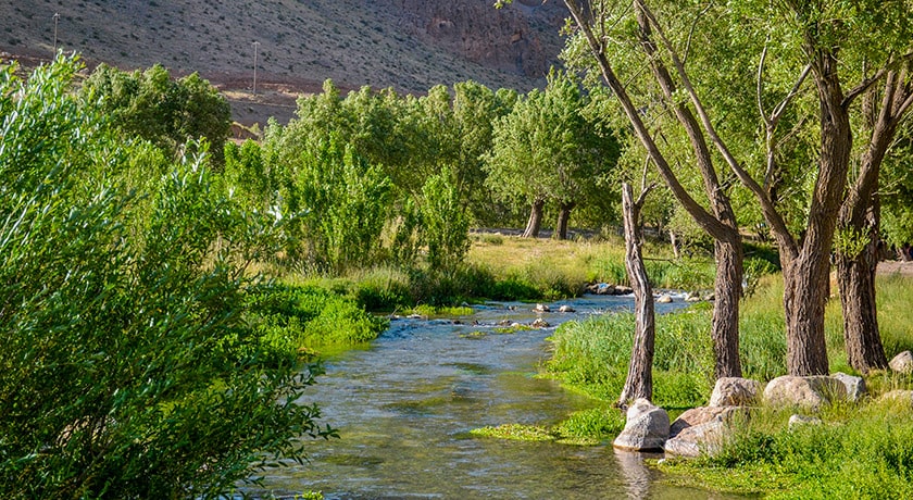 شهر صحنه در استان کرمانشاه - توریستگاه