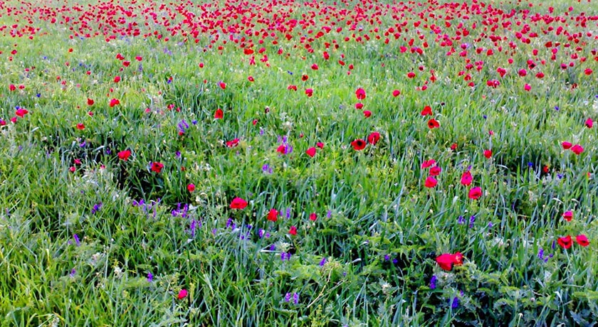 شهر گرمی در استان اردبیل - توریستگاه