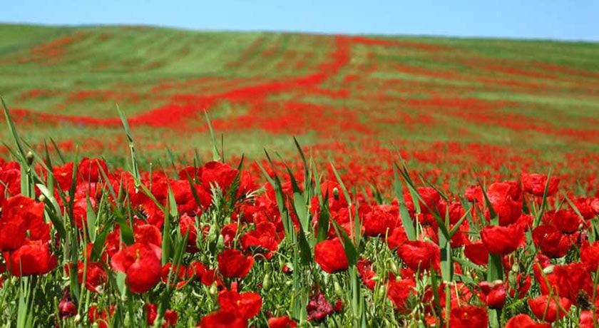 شهر شاهرود	 در استان سمنان - توریستگاه