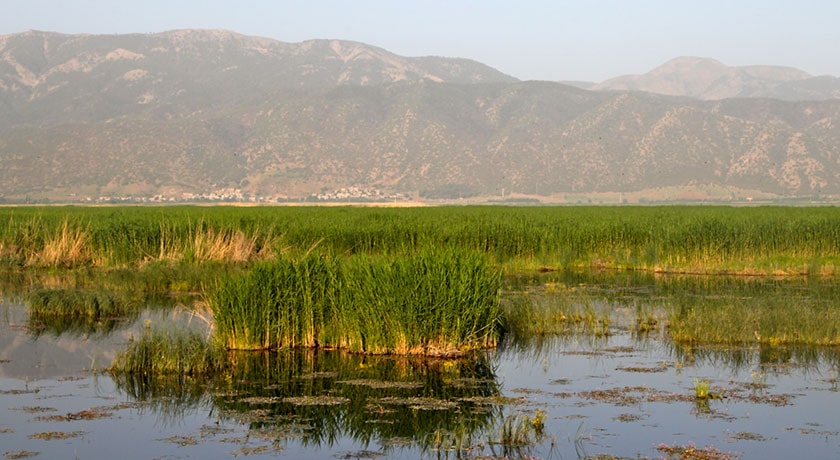 شهر مریوان در استان کردستان - توریستگاه