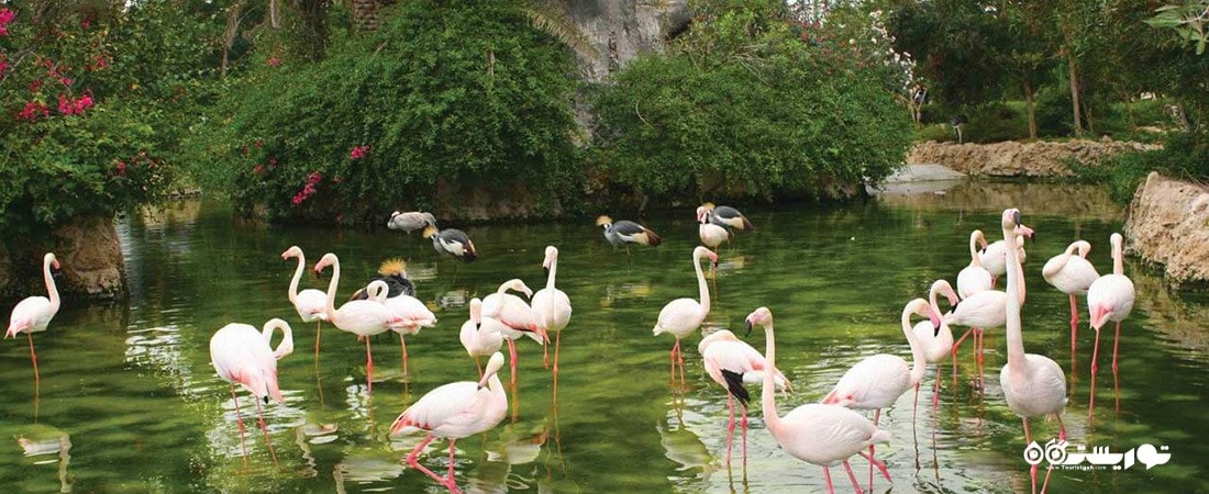 شهر مشهد در استان خراسان رضوی - توریستگاه