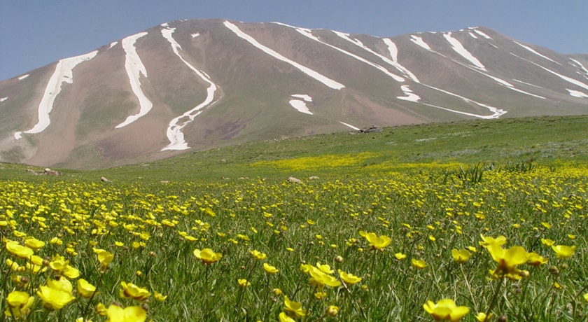شهر مراغه در استان آذربایجان شرقی - توریستگاه