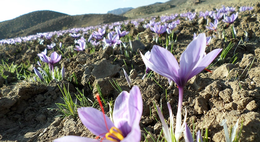 شهر مرند در استان آذربایجان شرقی - توریستگاه