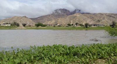 شهر بستک در استان هرمزگان - توریستگاه