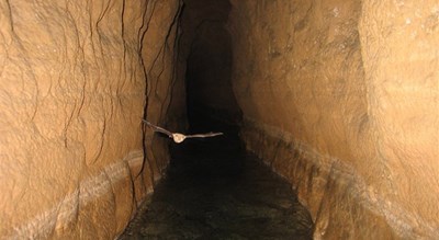 شهر گناباد در استان خراسان رضوی - توریستگاه