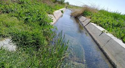 شهر گناباد در استان خراسان رضوی - توریستگاه