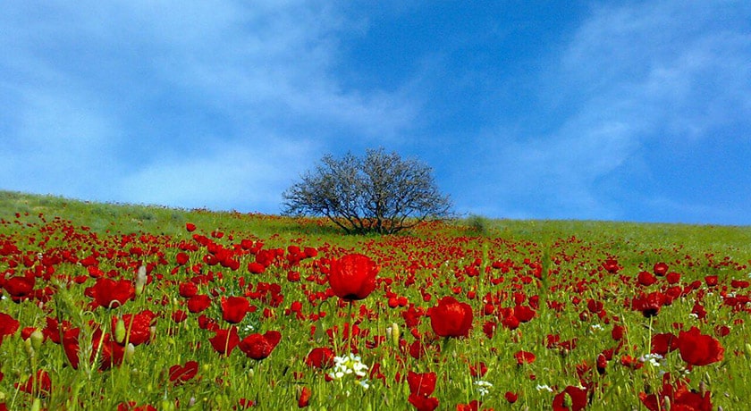 شهر درگز در استان خراسان رضوی - توریستگاه