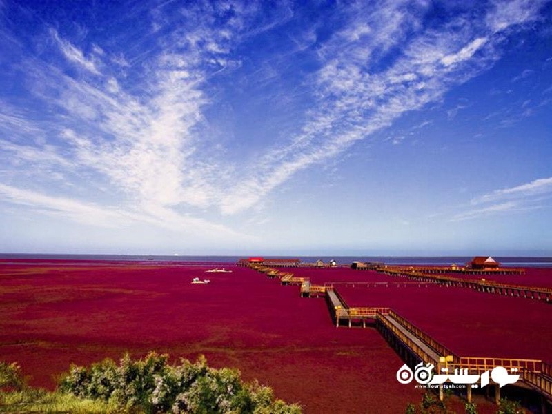 32.ساحل رد بیچ (Red Seabeach)، پینجین (Panjin)، چین