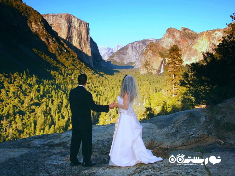 پارک ملی یوسیمیتی مقصدی برای گرفتن جشن عروسی در فصل پاییز