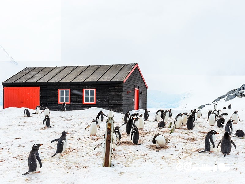 جنوبی ترین دفتر پست، قطب جنوب