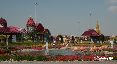 دبی میراکل گاردن -  شهر دبی