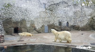 باغ وحش مسکو -  شهر مسکو