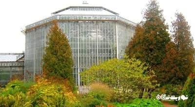 باغ گیاه شناسی سن پترزبورگ -  شهر سن پترزبورگ