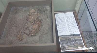 موزه باستان شناسی قونیه -  شهر قونیه