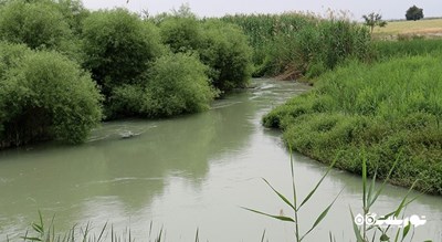 رودخانه شاوور -  شهر شوش