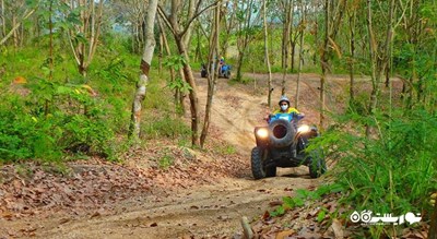 سرگرمی ماجراجویی در جنگل با موتور چهار چرخ در پاتایا شهر تایلند کشور پاتایا