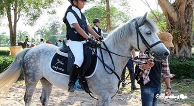 سرگرمی اسب سواری در پاتایا شهر تایلند کشور پاتایا