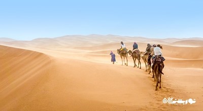 سفرهای صحرایی در دوحه  -  شهر دوحه