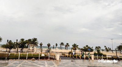 سرگرمی ساحل المرفا شهر امارات متحده عربی کشور ابوظبی