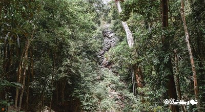  آبشار پائنگ شهر تایلند کشور کو سامویی