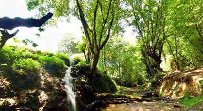  پارک جنگلی بابلکنار (بزچفت) شهرستان مازندران استان بابل