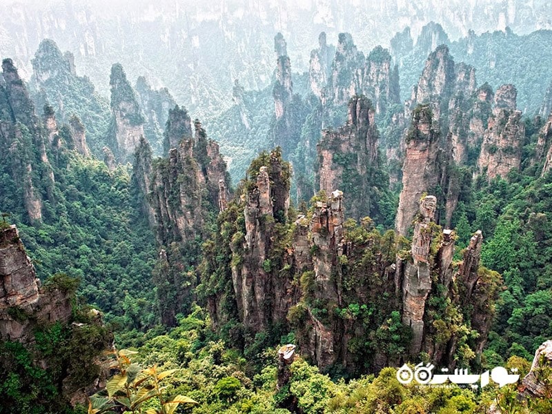 2. پارک جنگلی ملی ژانگ جیاجی (Zhangjiajie) را در چین کشف کنید