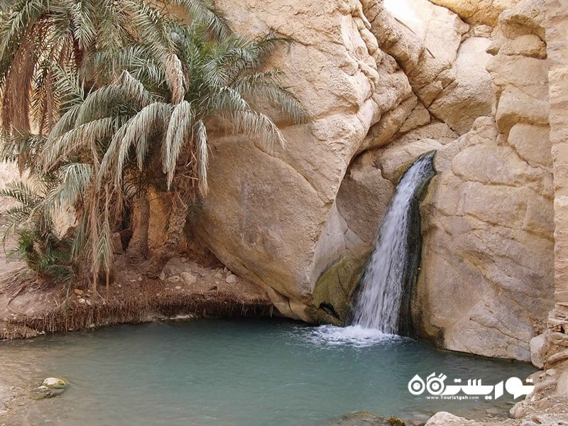 13. واحه الشبکیه (Chebika Oasis)، تونس