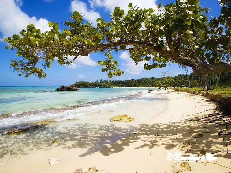 جزیره پلایا ریکون (Playa Rincon) در جمهوری دومینیکن