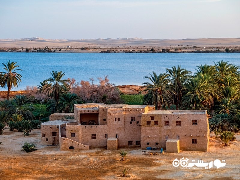 9. واحه سیوا (Siwa Oasis)، مصر