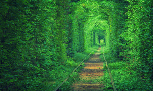 تونل عشق اوکراین، یک گذرگاه طبیعی رومانتیک 