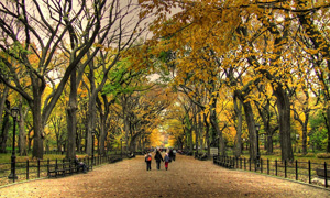 15 حقیقت هیجان انگیز درباره پارک سنترال (Central Park)