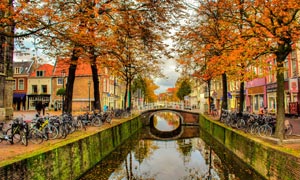 بهترین زمان برای سفر به آمستردام چه فصلی است؟