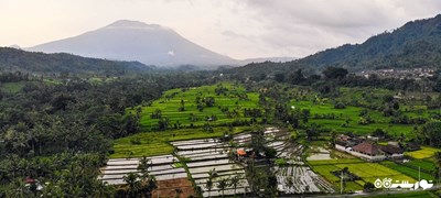 شهر بالی در کشور اندونزی - توریستگاه