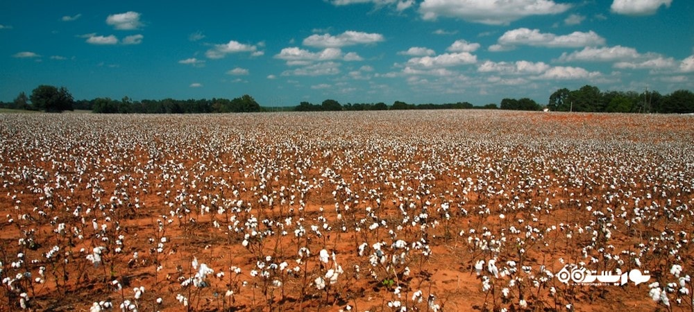 کشور گرجستان در قاره اروپا - توریستگاه