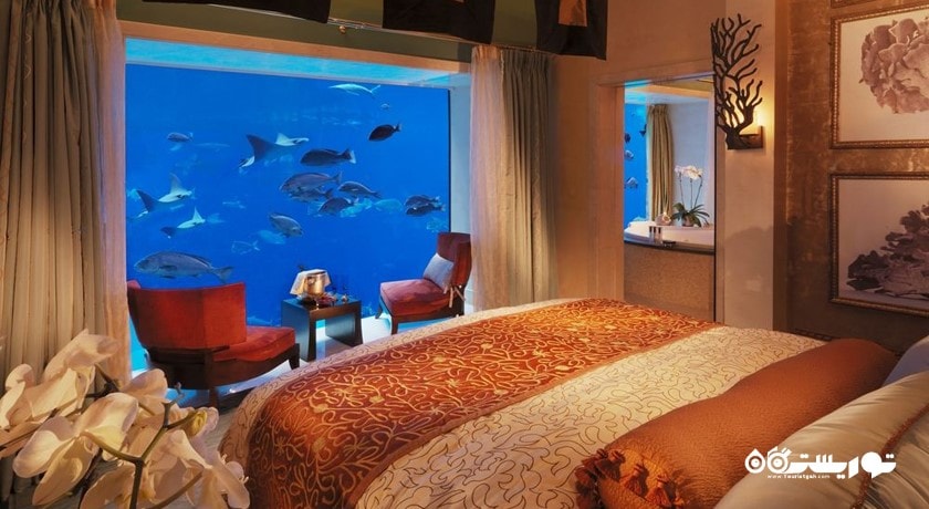 تخت بزرگ سوئیت آندر واتر