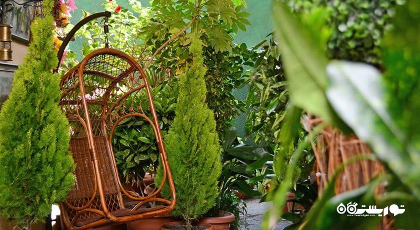 فضای سبز هتل بریتیش هاوس