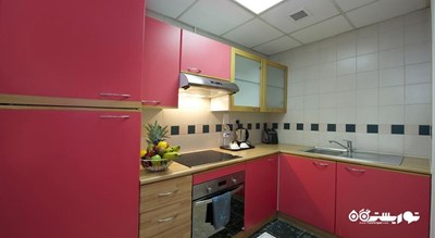 نمای آشپزخانه آپارتمان استودیو