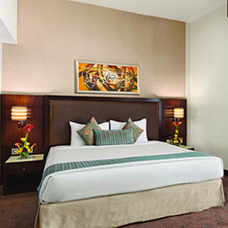 اتاق سینگل (یک نفره)