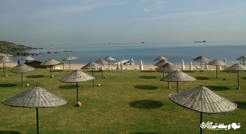 سرگرمی دالیا شهر ترکیه کشور استانبول