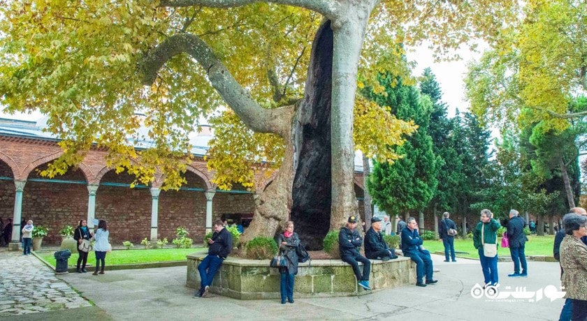  کاخ توپکاپی (توپکاپی سرای) شهر ترکیه کشور استانبول