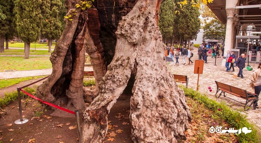 کاخ توپکاپی (توپکاپی سرای) -  شهر استانبول