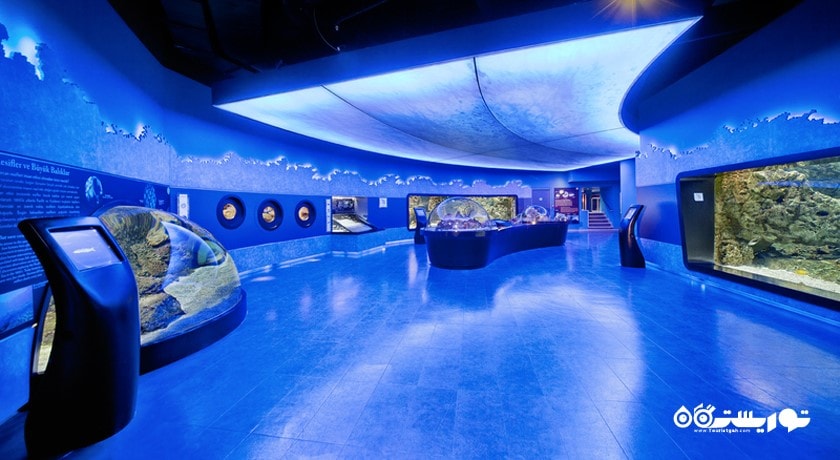  آکواریوم استانبول شهر ترکیه کشور استانبول