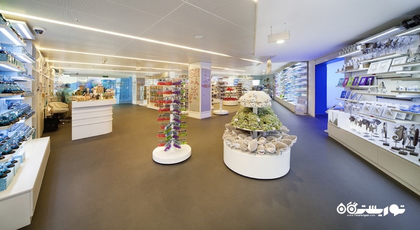  آکواریوم استانبول شهر ترکیه کشور استانبول