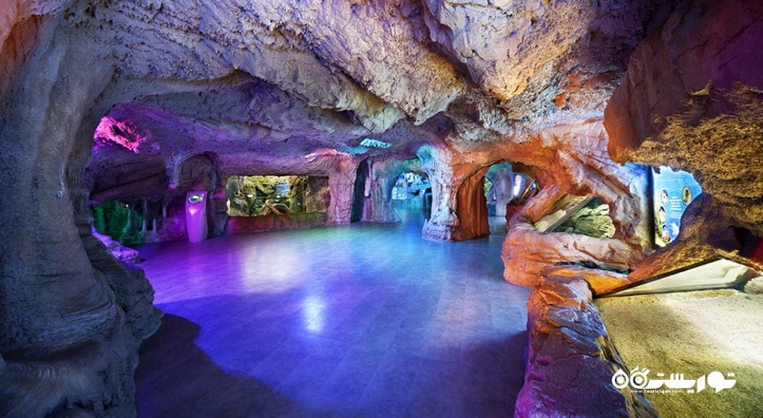  آکواریوم استانبول شهر ترکیه کشور استانبول