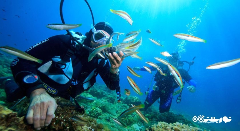 سرگرمی غواصی شهر ترکیه کشور استانبول