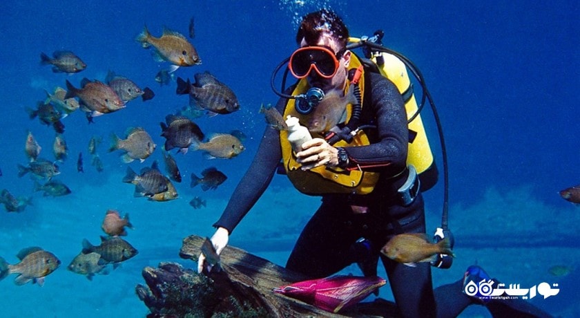 سرگرمی غواصی شهر ترکیه کشور استانبول