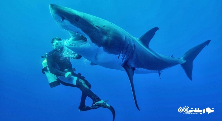 سرگرمی غواصی شهر ترکیه کشور استانبول