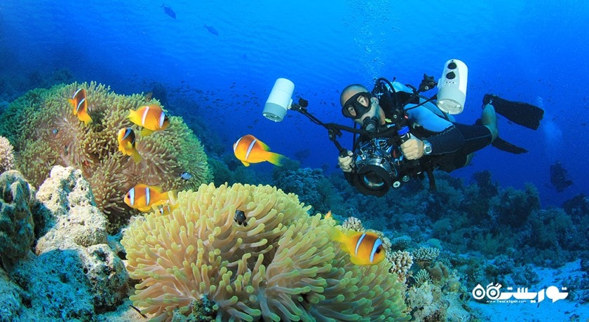 غواصی -  شهر استانبول